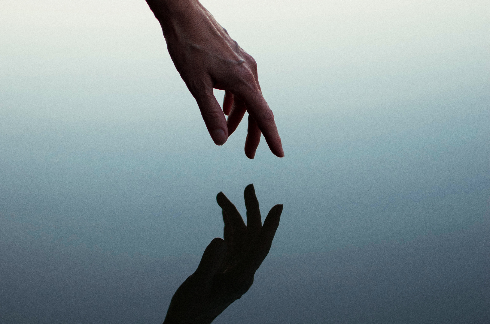 La Ignorancia como reflejo