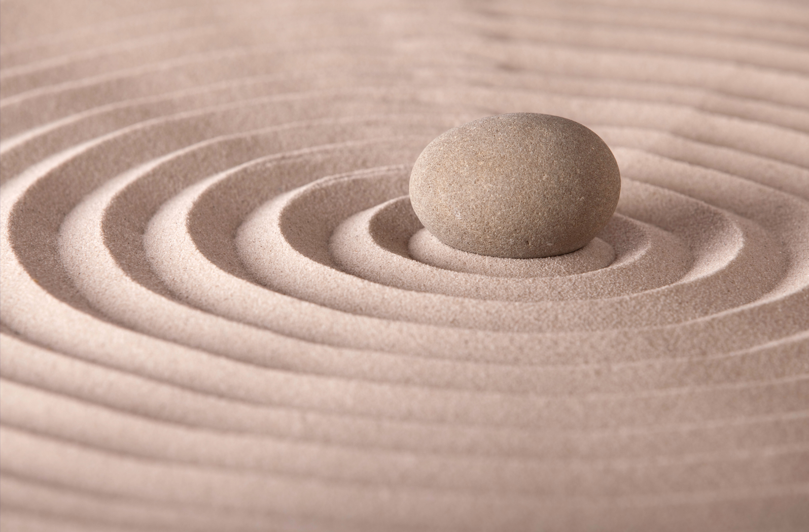 Entrenamiento: Mindfulness & Meditación
